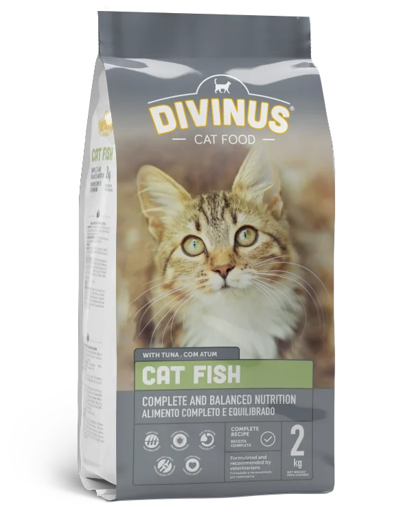 Divinus Cat Fish