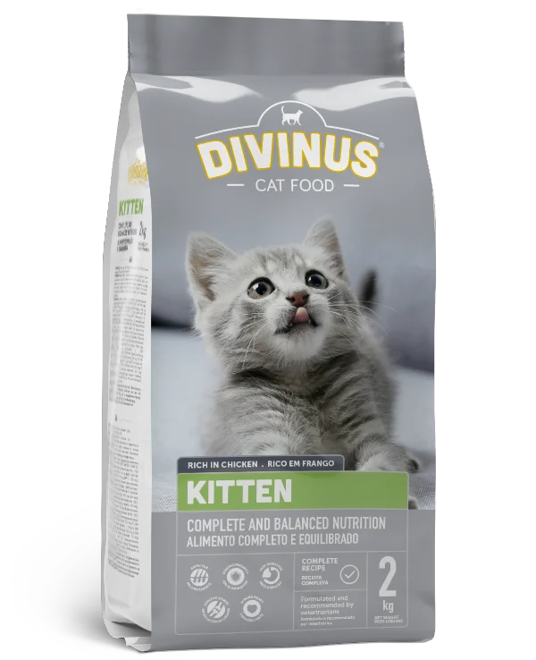 Divinus Kitten