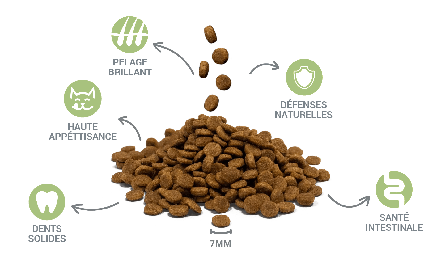 Croquettes de haute qualité et bénéfices pour la santé de Divinus Cat Tuna