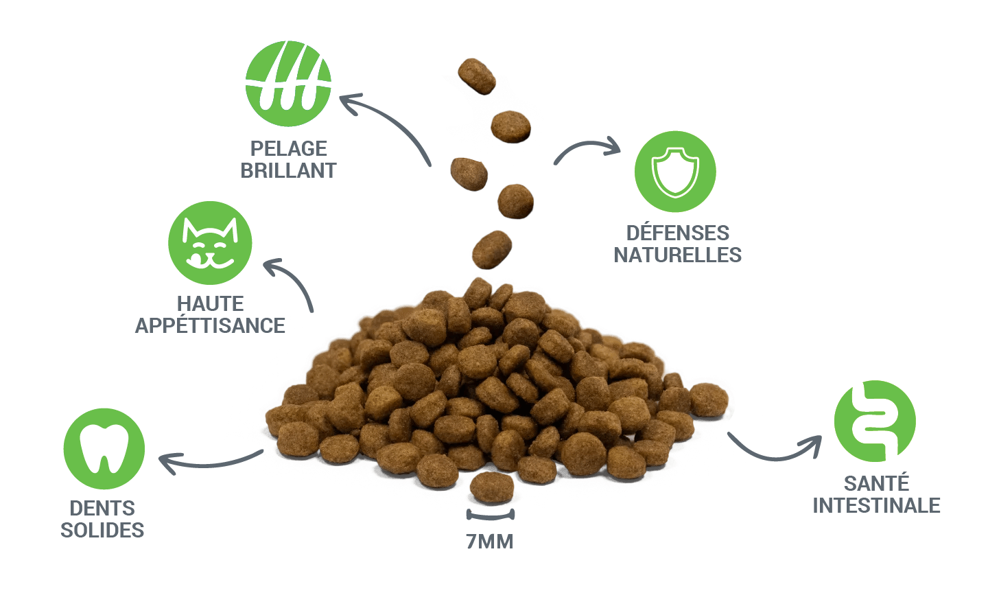 Croquettes de haute qualité et bienfaits pour la santé de Divinus Cat Chicken