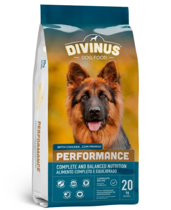 Divinus Performance