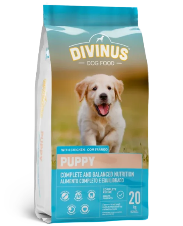 Divinus Puppy