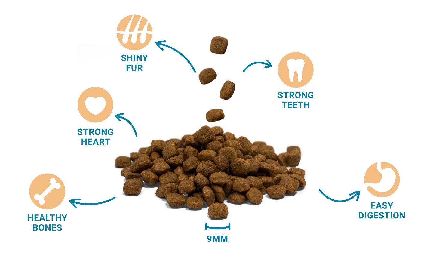 Complete and balanced nutrition for dogs