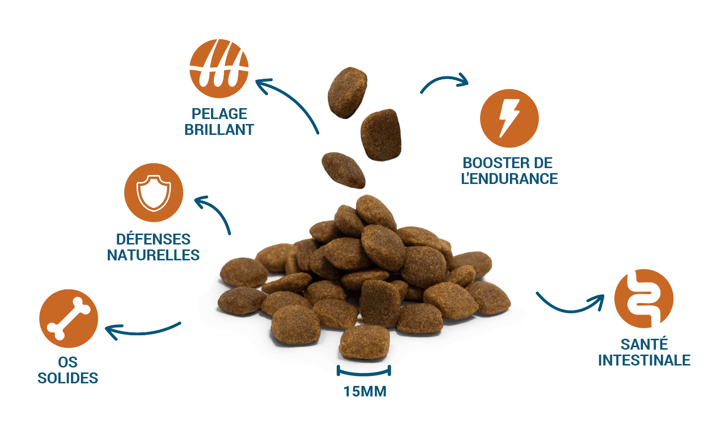 Croquettes de haute qualité et bienfaits pour la santé de Divinus Performance