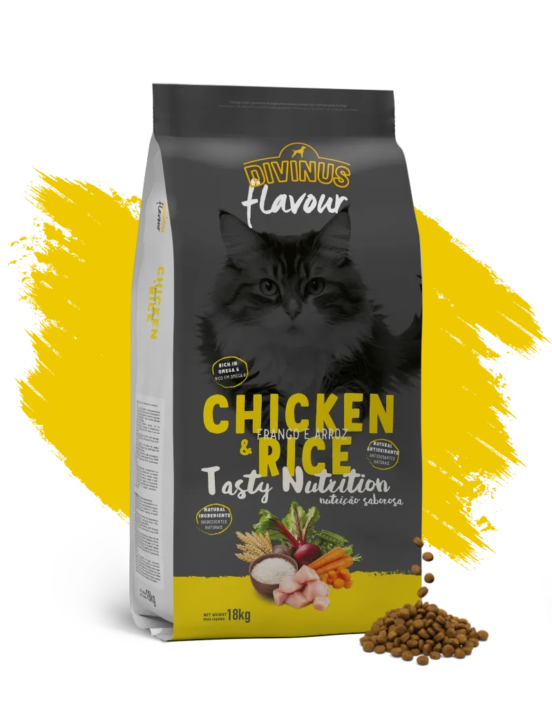 Cat Chicken and Rice