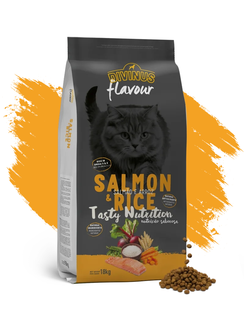Cat Salmon and Rice