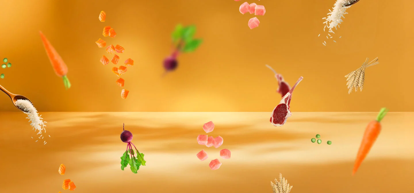 Divinus Flavour Natural ingredients falling: chicken, lamb, rice, salmon, carrots, beets, peas, and cereals